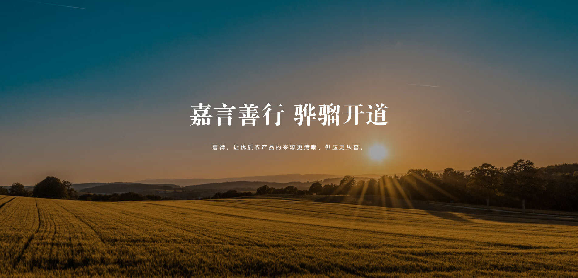 河南嘉骅供应链管理有限公司