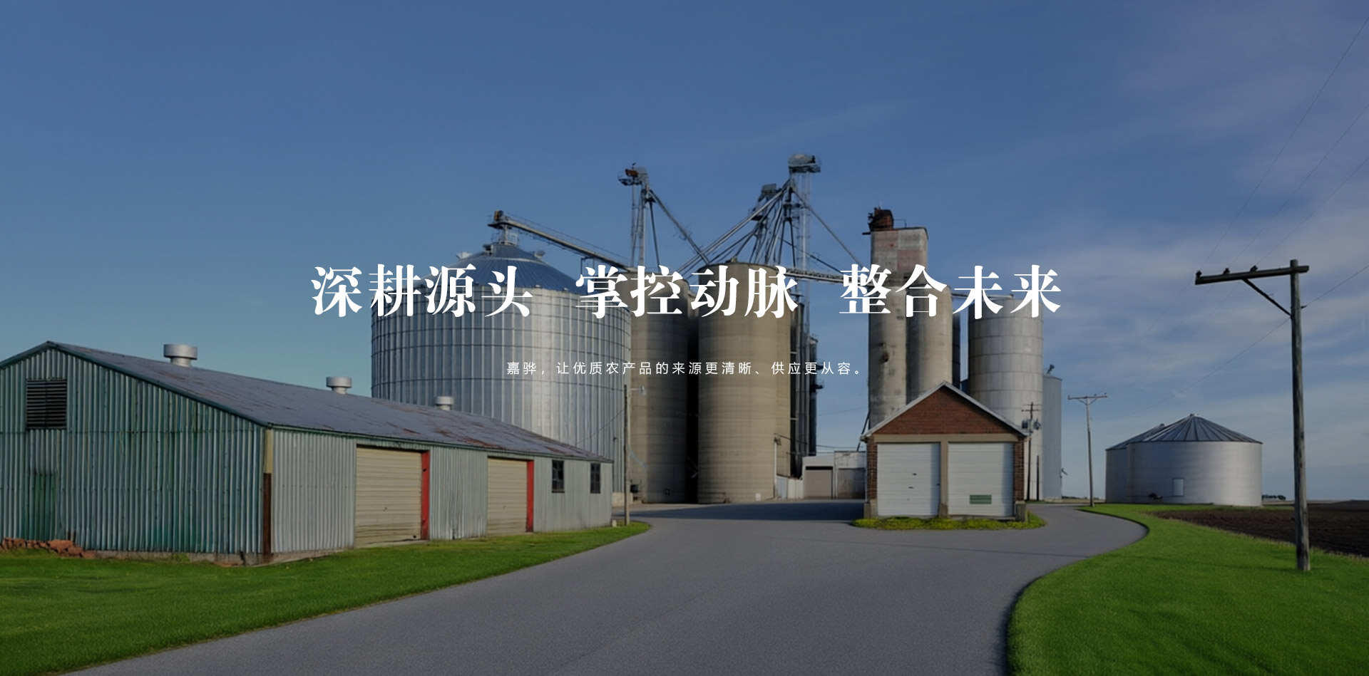 河南嘉骅供应链管理有限公司